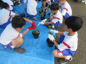 2025年9月11日　小学校スプレーギク教室3
